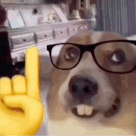 Dog Wearing Glasses Making Horn Sign GIF