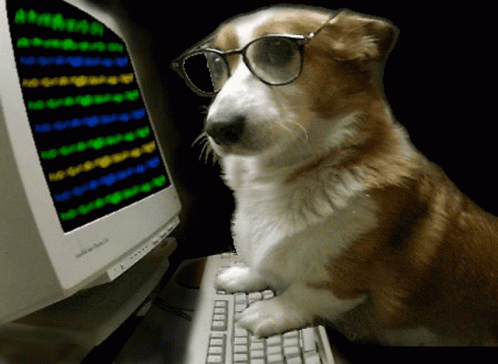 Dog Wearing Glasses Sitting at Computer