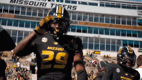 Dog Wearing Headphones in Gym Looking at Camera