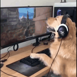 Dog Wearing Headphones Playing Video Game GIF