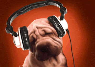 Dog Wearing Headphones With C12 GIF
