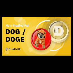 Dog Wearing Hoodie Next to Doge Coin on Yellow Background