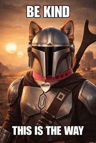 Dog Wearing Mandalorian Helmet Be Kind GIF