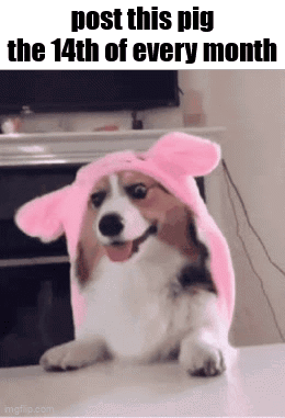 Dog Wearing Pink Bunny Hat Post This Pig the 14th of Every Month