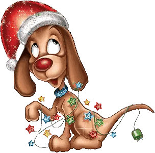 Dog Wearing Santa Hat and Christmas Lights