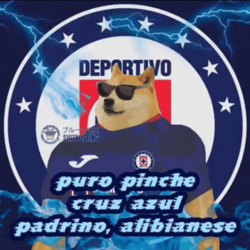 Dog Wearing Sunglasses and Deportivo Shirt
