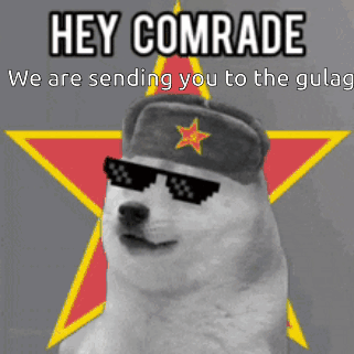 Dog Wearing Sunglasses And Hat Hey Comrade We Are Sending You To The Gulag GIF