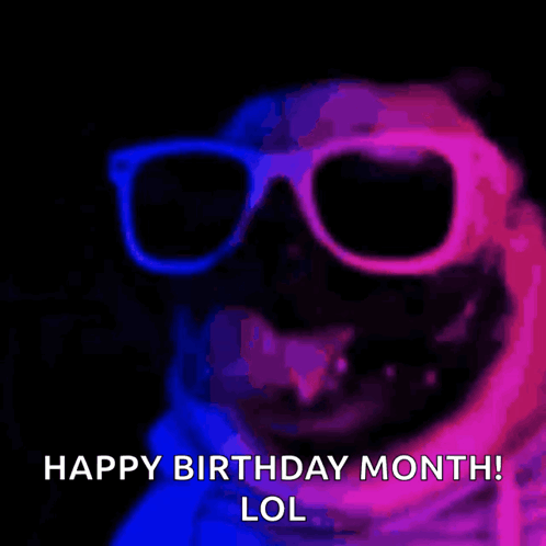 Dog Wearing Sunglasses Happy Birthday Month GIF