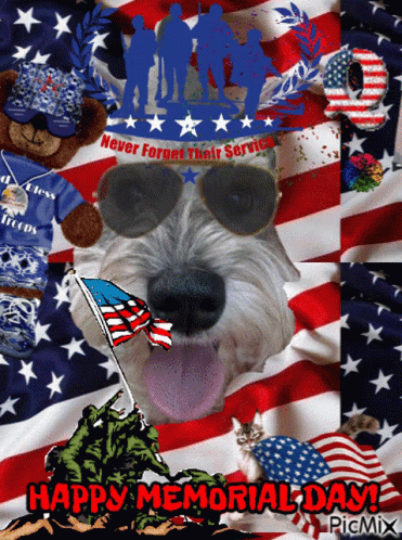 Dog Wearing Sunglasses Happy Memorial Day