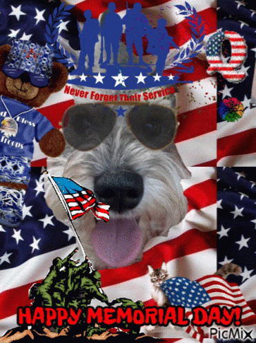 Dog Wearing Sunglasses Saying Happy Memorial Day in Red