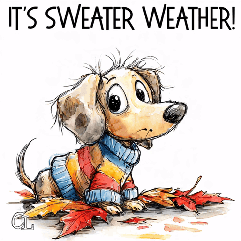 Dog Wearing Sweater Saying Sweater Weather GIF