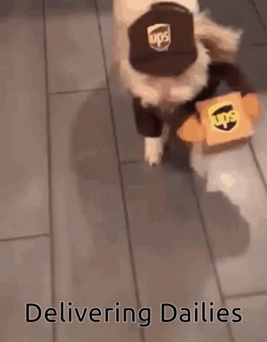 Dog Wearing UPS Hat Carrying Box GIF