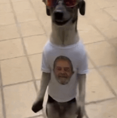 Dog Wearing White Shirt With Man Picture