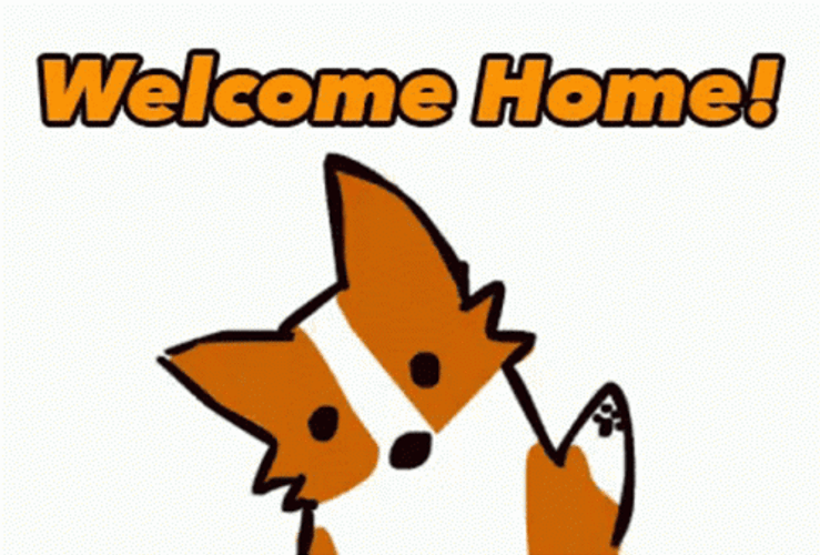 Dog Welcome Home GIF