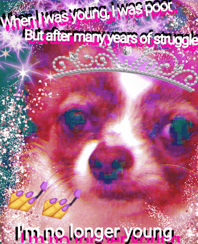 Dog When I Was Young I Was Poor