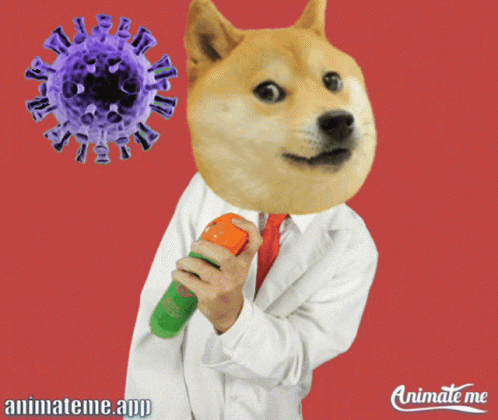 Dog With Animateme.app GIF