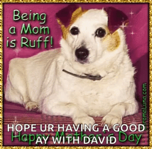 Dog with Being a Mom Is Ruff