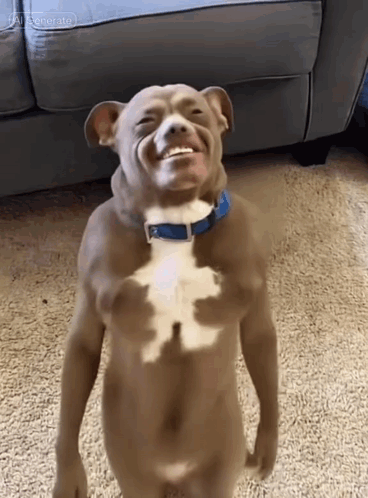 Dog with Blue Collar Smiling