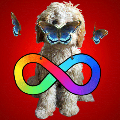 Dog with Butterfly on Face in Front of Infinity