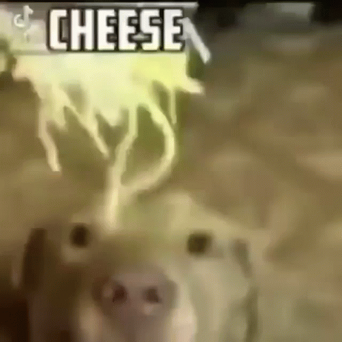 Dog with Cheese Out of Nose
