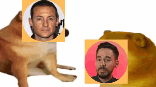 Dog With Chester Bennington Photo GIF