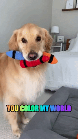Dog With Coloring Toys GIF