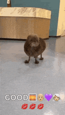 Dog With Emojis Saying Good GIF