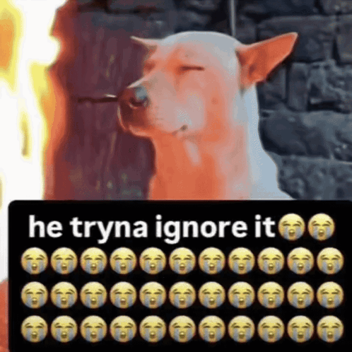 Dog With Eyes Closed He Tryna Ignore It
