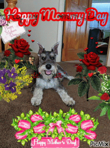 Dog With Flowers Happy Mothers Day