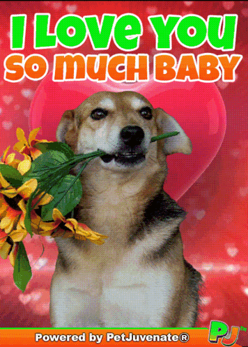 Dog With Flowers in Mouth I Love You