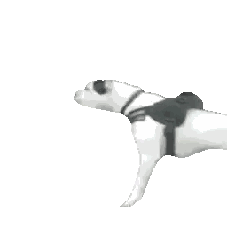 Dog With Gobot Die Dooly
