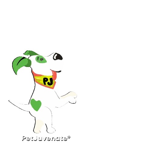 Dog with Good Night Text