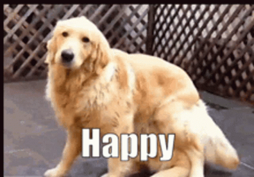 Dog With Happy Text