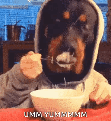Dog With Hood Eating Cereal From Bowl