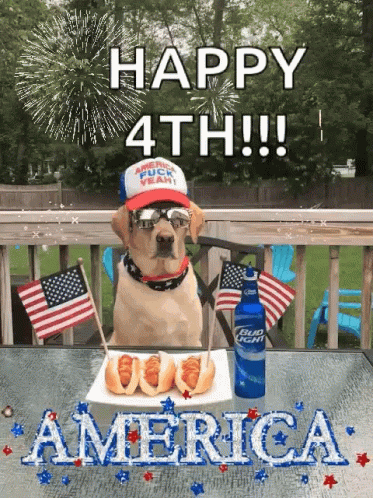 Dog With Hot Dogs and Bud Light