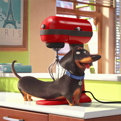 Dog With Ice Cream Sticker GIF