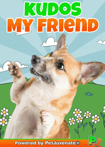 Dog with Kudos My Friend