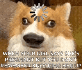 Dog With Loading Wheel Saying When Your Girl Says She's Pregnant But You Don't