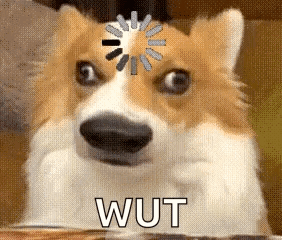 Dog With Loading Wheel Saying Wut