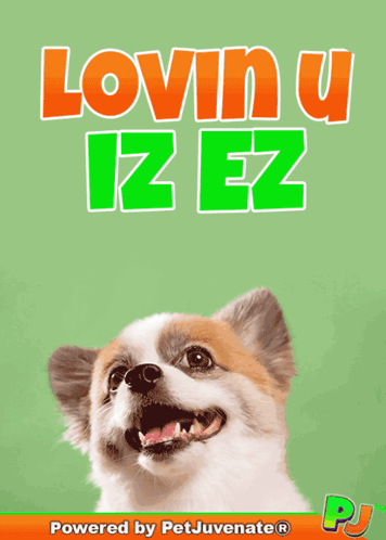 Dog With Lovin U Iz Ez