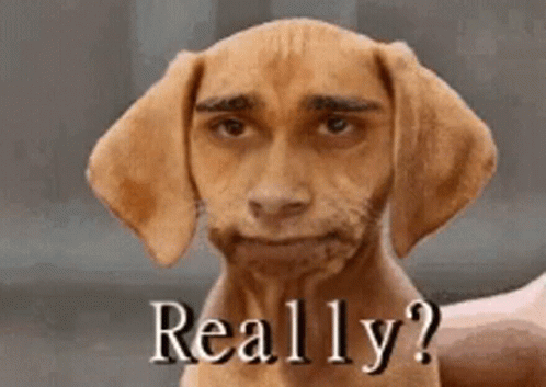 Dog With Man Face Saying Really