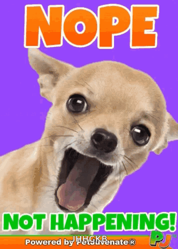 Dog with Mouth Open Nope Not Happening