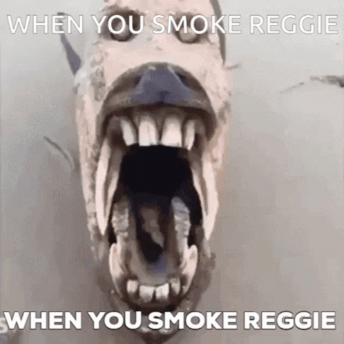 Dog With Mouth Open When You Smoke Reggie