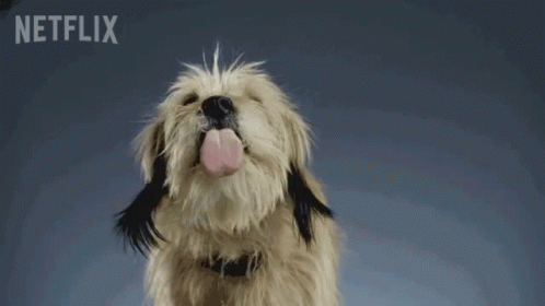 Dog With Netflix Logo on Bottom Right