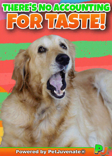 Dog With Open Mouth No Accounting For Taste