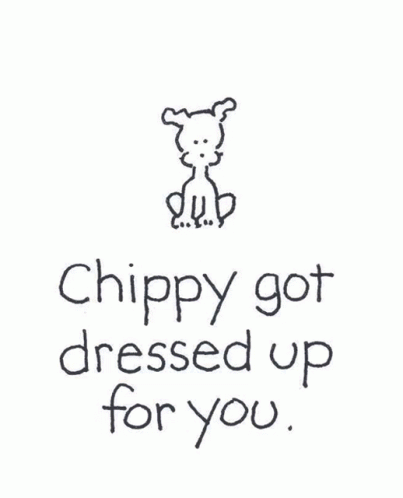 Dog With Pink Bow Chippy Got Dressed Up For You