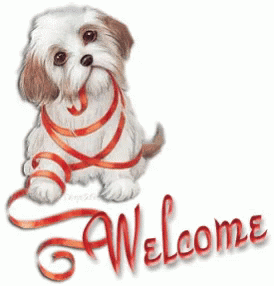 Dog With Red Ribbon Welcome GIF