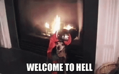 Dog With Red Scarf on Head by Fireplace