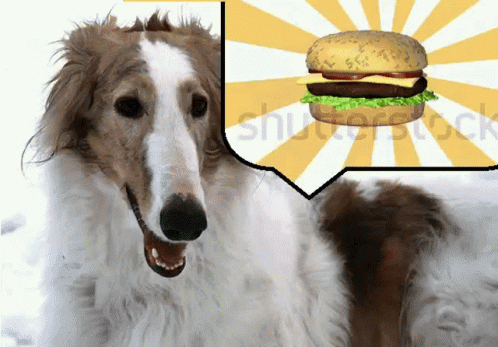 Dog With Shutterstock Speech Bubble
