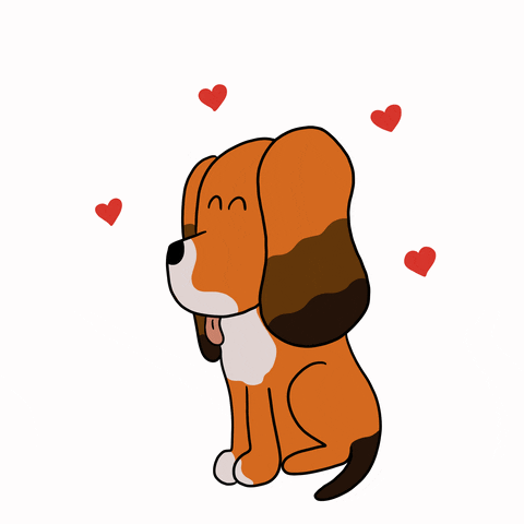 Dog With Smiling Eyes Love GIF